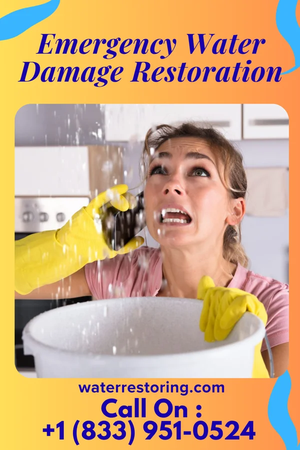 Emergency Water Damage Restoration in Cleghorn, IA